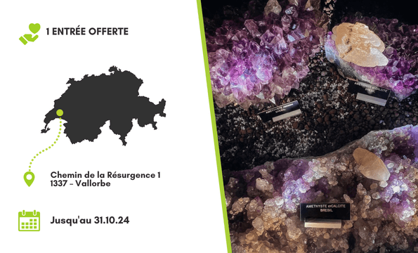 LES GROTTES DE VALLORBE | 1 Entrée offerte